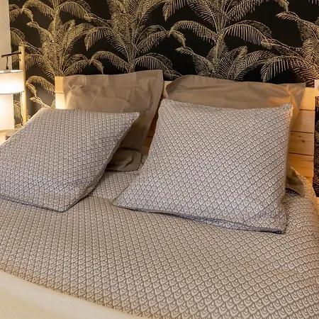 De Clelia Apartment Ax-les-Thermes